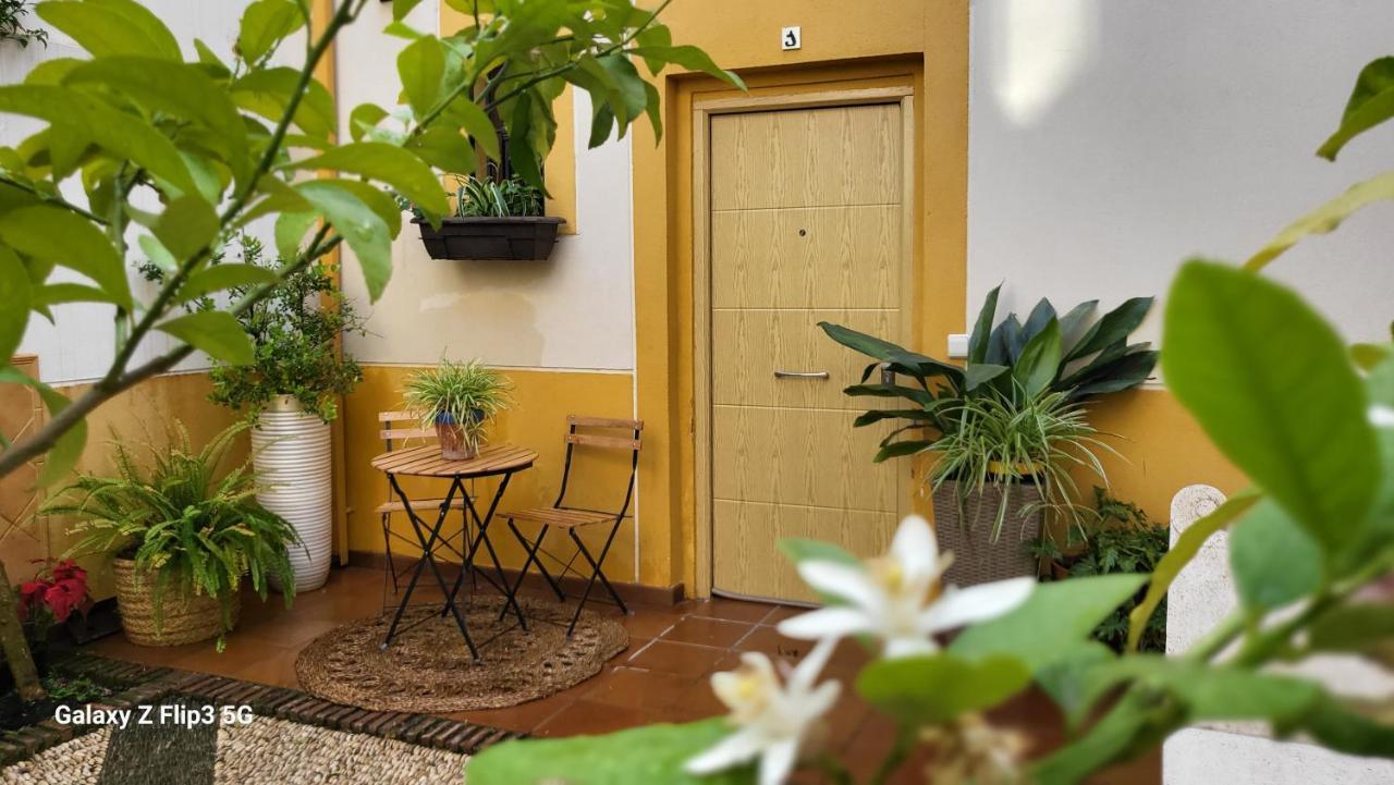 Apartamento Casa Naranjo Córdoba Eksteriør billede
