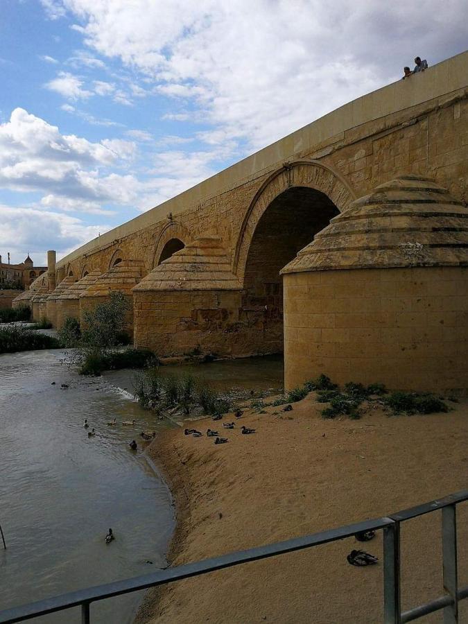 Apartamento Casa Naranjo Córdoba Eksteriør billede